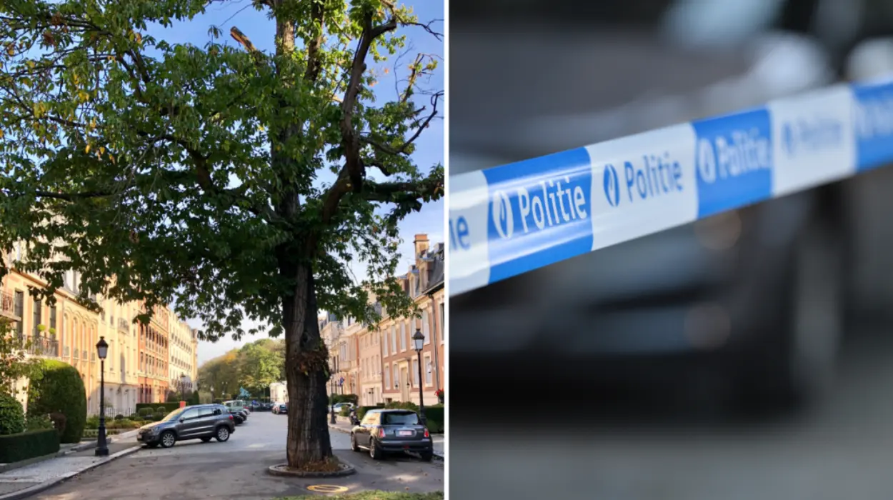 Couple Caught Faking Wealth for Loans