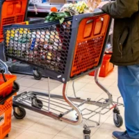 Critical insights into Belgium's food safety