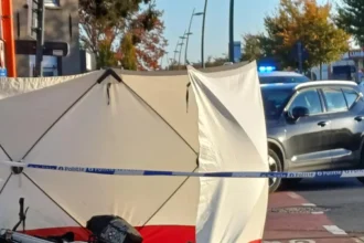 Cyclist, 56, dies after collision with car in Roeselare 