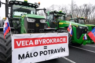Czech and Slovak farmers protest cheap non-EU imports