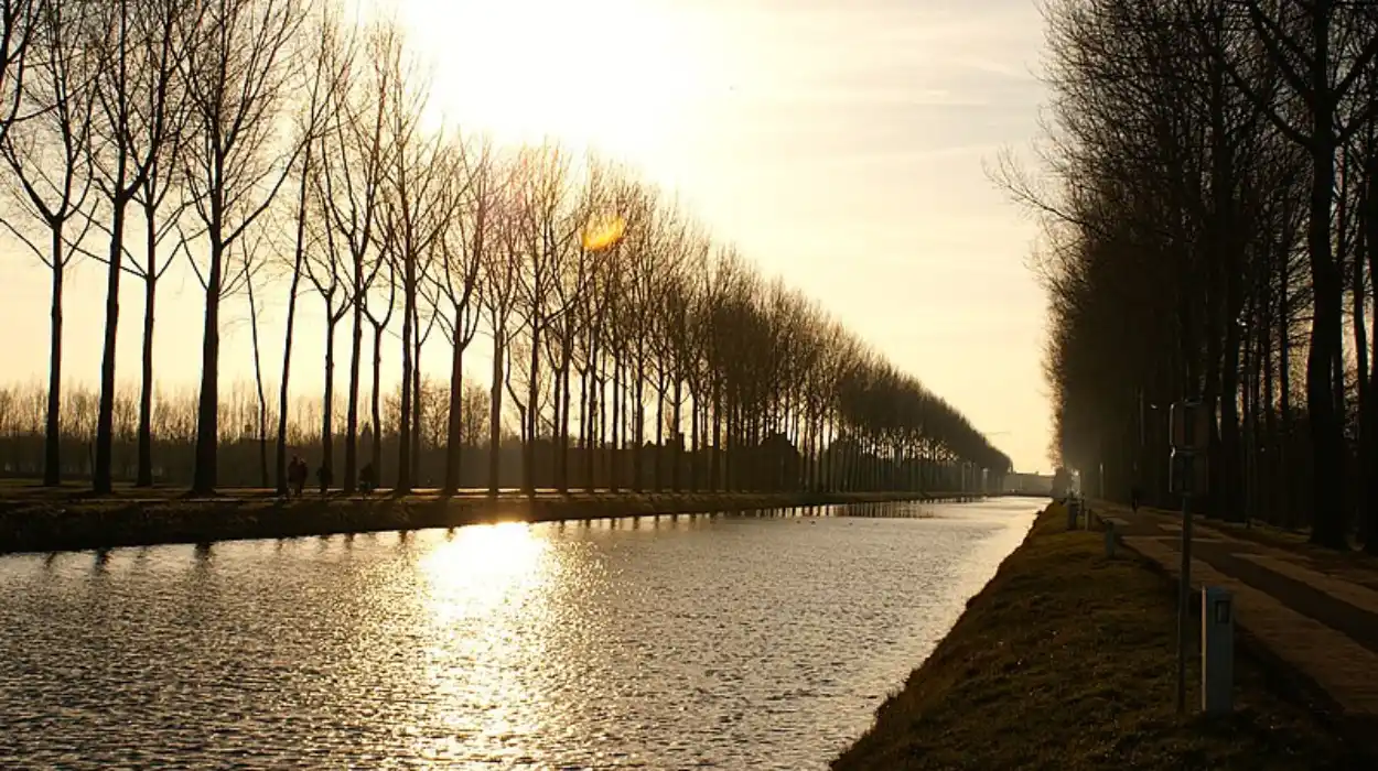 Damme Damse Veert added to 19 Flemish swim zones by Coens