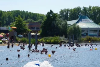 Dangerous blue-green algae closes Geraardsbergen swimming area