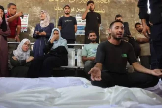 Danish FM urges EU sanctions on Israel over Gaza war