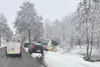 De Lijn bus crashes into stream in Puurs-Sint-Amands