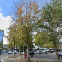 De Lijn bus driver attacked in Oudenaarde, probe launched