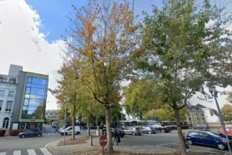 De Lijn bus driver attacked in Oudenaarde, probe launched