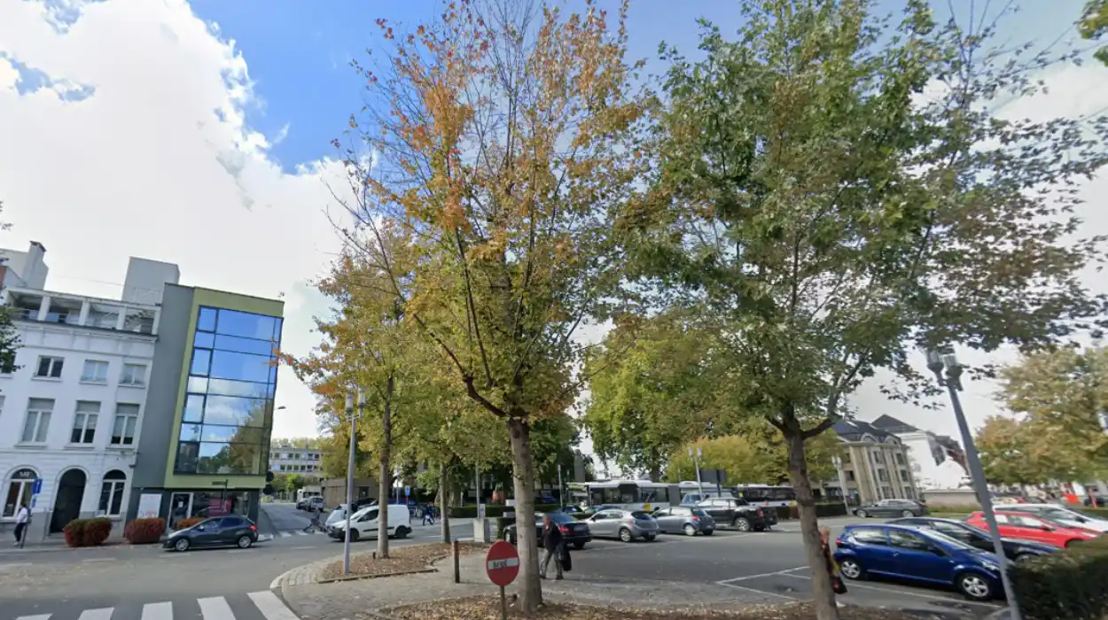 De Lijn bus driver attacked in Oudenaarde, probe launched