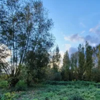 De Lin's Wondelgem depot