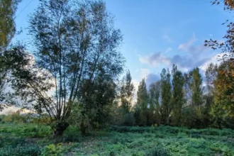 De Lin's Wondelgem depot