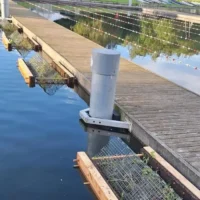 De Ster in Sint-Niklaas faces toxic algae crisis