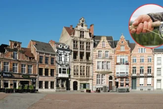 Dendermonde approves midnight fishing at Brussels forts