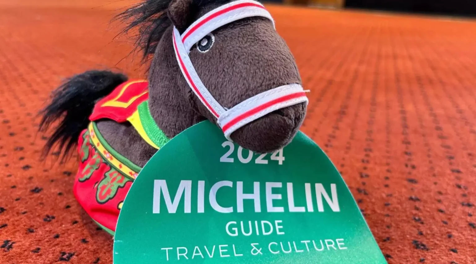 Dendermonde earns Michelin Green guide star for cultural heritage and attractions