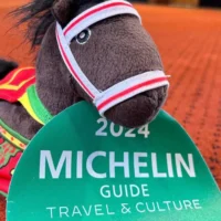 Dendermonde earns Michelin Green guide star for cultural heritage and attractions