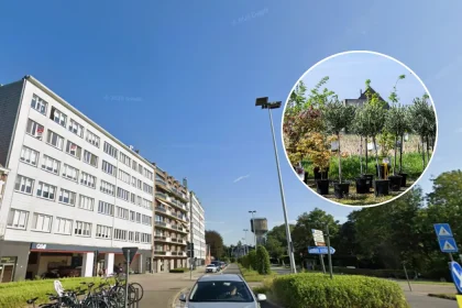 Dendermonde launches new native-plant garden project