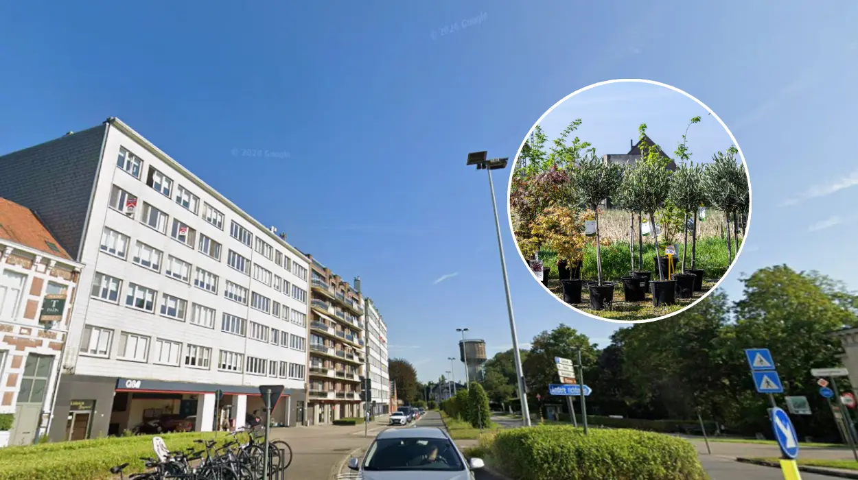 Dendermonde launches new native-plant garden project