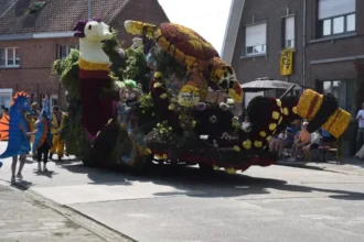 Dendermonde's flower parade thrives amid dahlia shortage