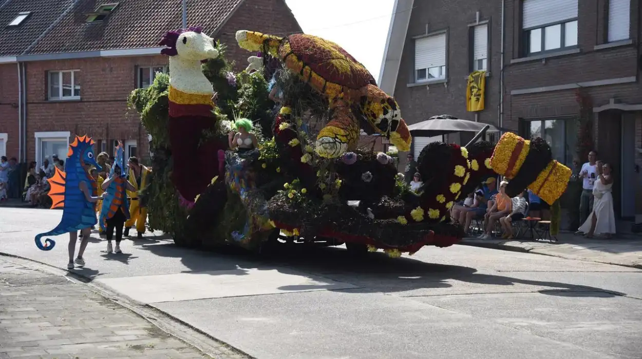 Dendermonde's flower parade thrives amid dahlia shortage