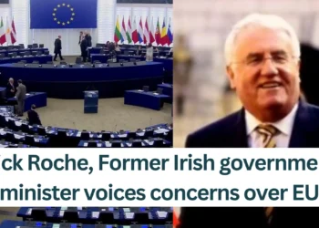 Dick Roche, Former Irish government minister voices concerns over EU