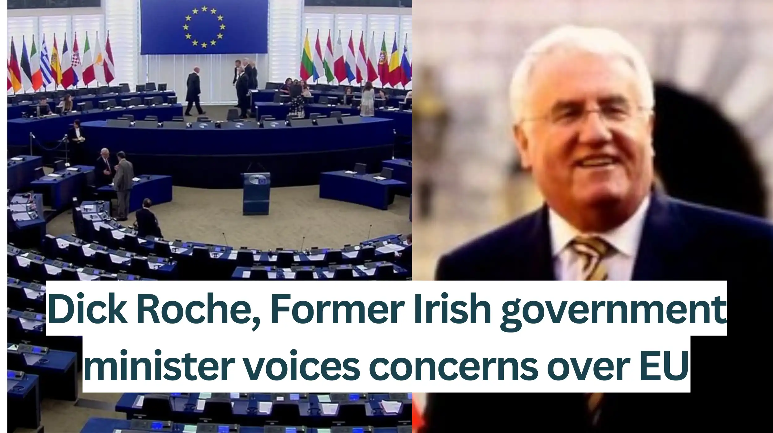 Dick Roche, Former Irish government minister voices concerns over EU