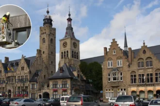 Diksmuide fire brigade rescues cat stuck in tilt window