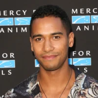 Does Elliot Knight support Israel His public stance and online controversy