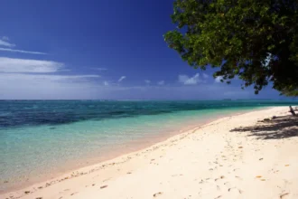 Does Marshalls support Israel Diplomatic ties and business