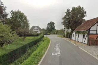 Driver killed as Porsche crashes into tree in Hasselt