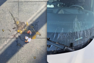 Drone drops raw eggs on McDonald's diners in Bilzen