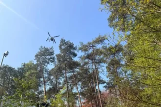 Drone exposes sick trees in Antwerp’s Climate Crisis study