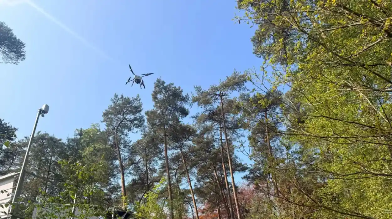 Drone exposes sick trees in Antwerp’s Climate Crisis study
