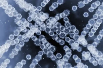 Drug-resistant fungus rapidly spreads in European hospitals