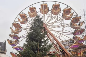 Drunken students attempt to Christmas tree heist in Leuven
