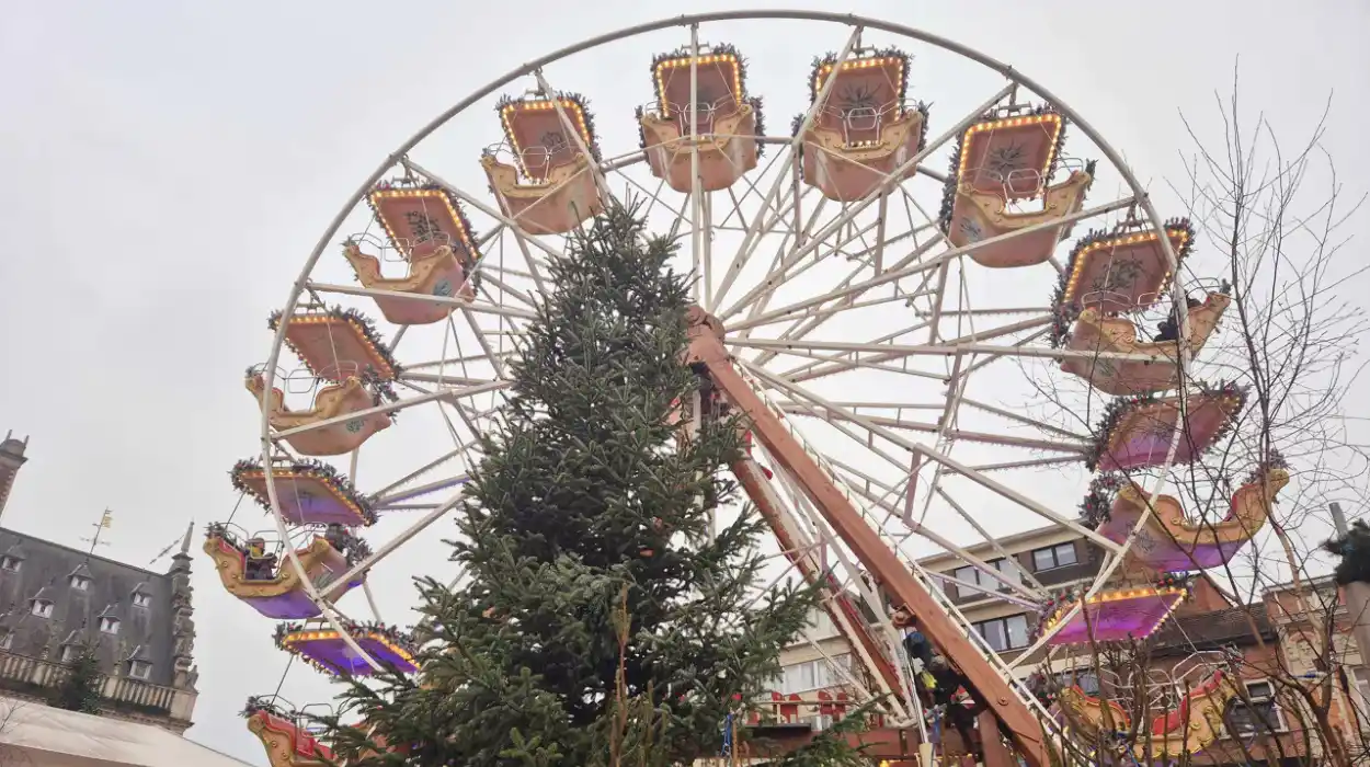 Drunken students attempt to Christmas tree heist in Leuven