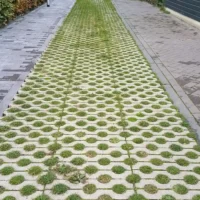 €8 Million investment in Tessenderlo-Ham's agricultural future