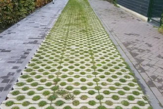 €8 Million investment in Tessenderlo-Ham's agricultural future