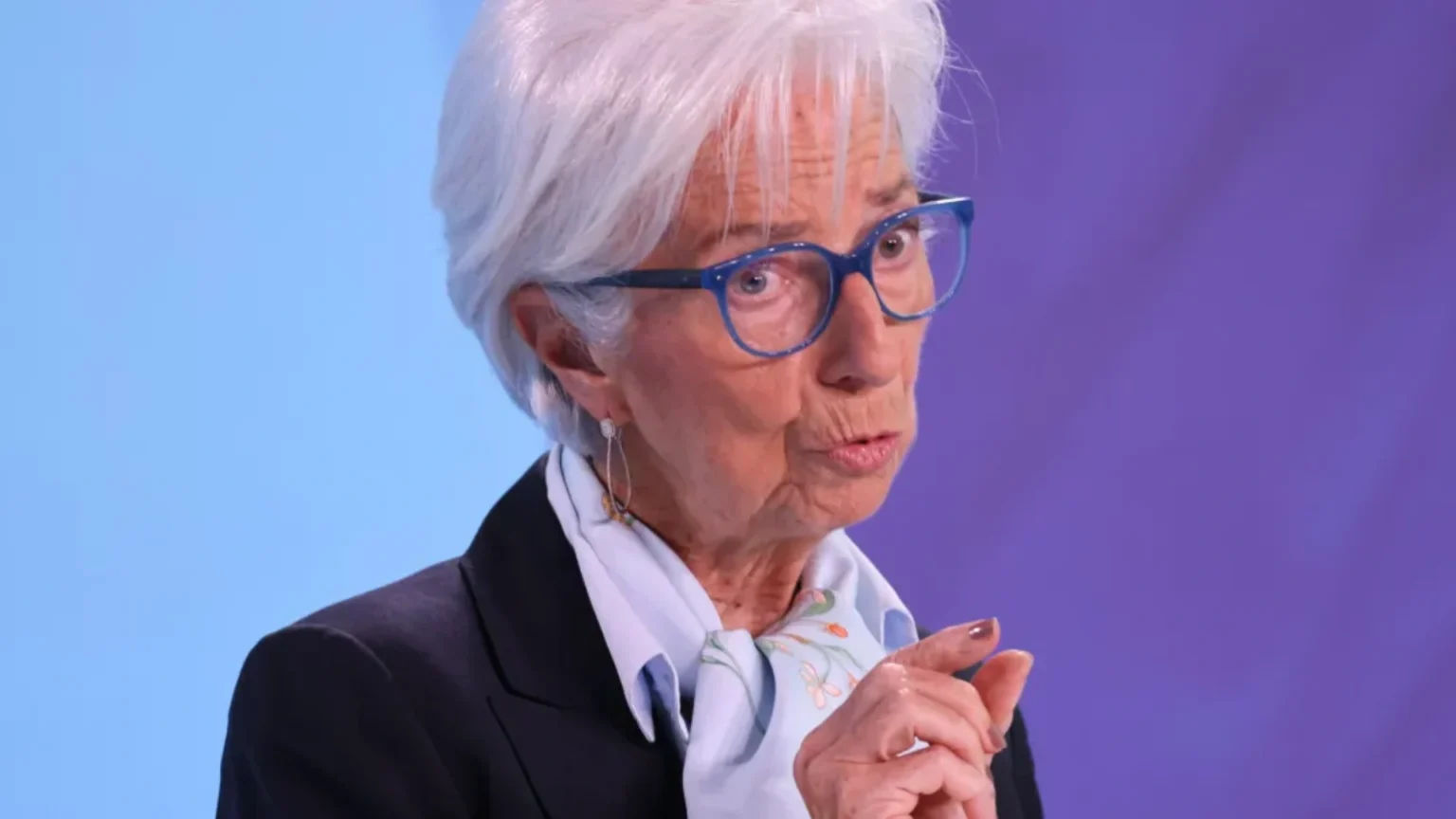 ECB vice chief signals satisfaction with current interest rate level