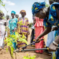 EU Commission boosts regreening Africa with €15 million funding