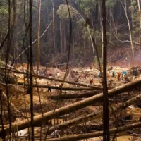 EU Council approves amendment to deforestation law timeline