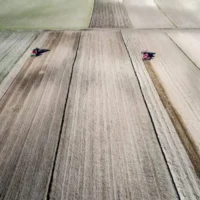 EU Council to review post-2027 Common Agricultural Policy