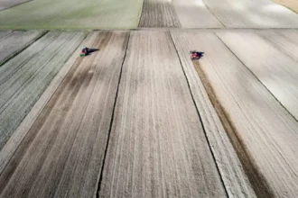 EU Council to review post-2027 Common Agricultural Policy