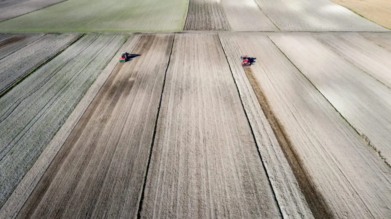 EU Council to review post-2027 Common Agricultural Policy