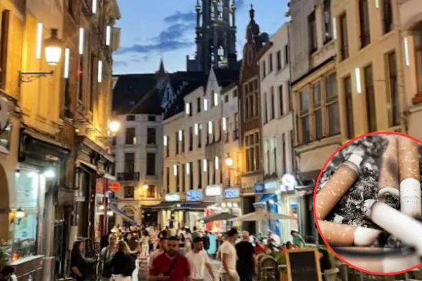 EU MEPs Face 400+ Tobacco Lobbying Calls in 2026, Brussels