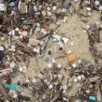 EU adopts regulations to curb plastic pellet pollution