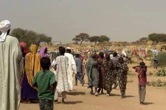 EU and others urged to use "leverage" to bring about "sustainable peace" to war-torn Sudan
