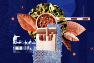 EU anti-fraud office fight against tobacco smuggling