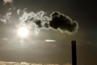 EU backs easing carbon border tax for importers