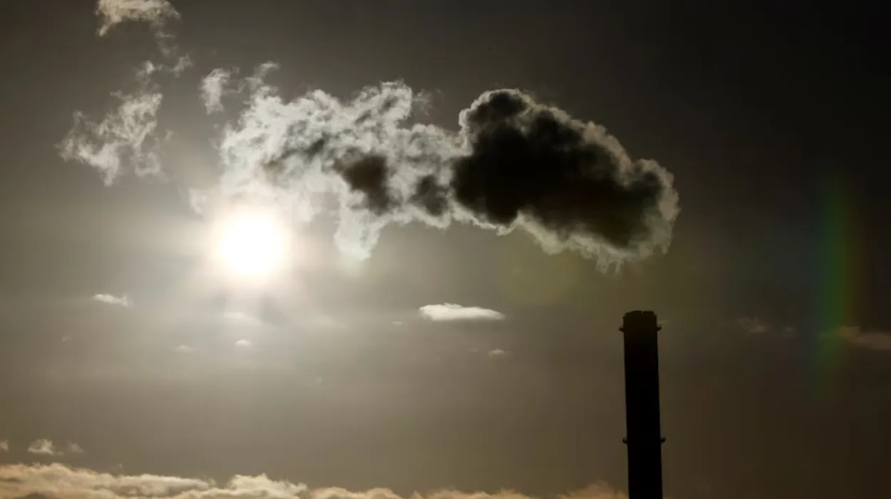 EU backs easing carbon border tax for importers