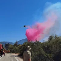 EU dispatches firefighting planes to battle Greek wildfires