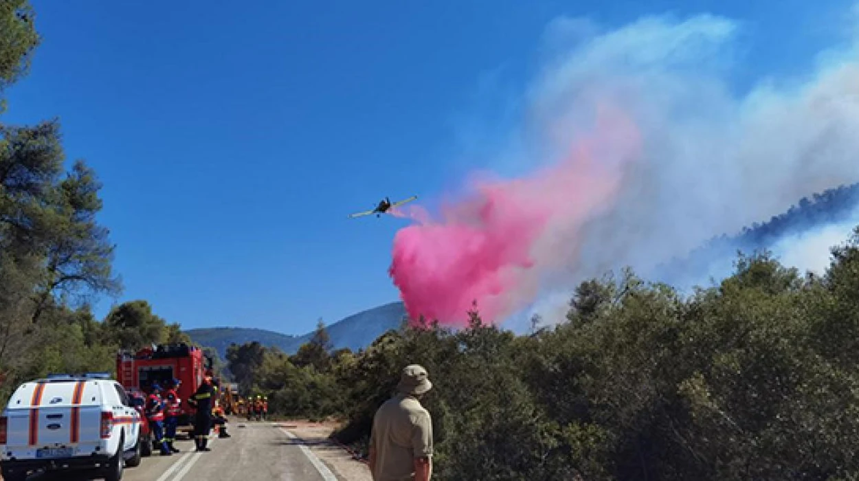 EU dispatches firefighting planes to battle Greek wildfires