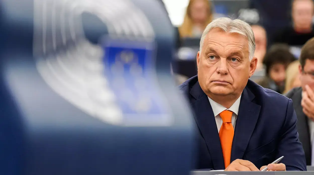 EU expert and MEPs in verbal attack on Orban